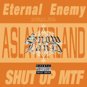 RICHNOMADIC“雪” type beat