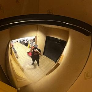 Barter (feat. Day10)