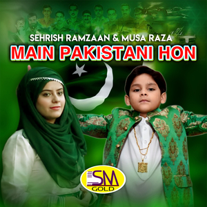 Main Pakistani Hon