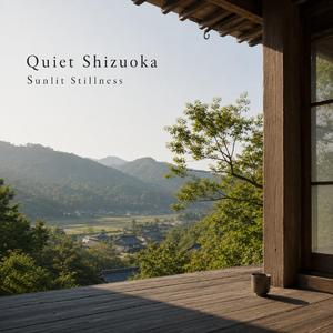 Quiet Return Home