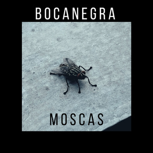 Moscas (Demo)