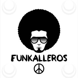 I'm a Funkaholic