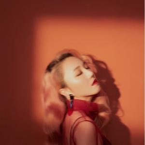 没有道理的爱 伴奏