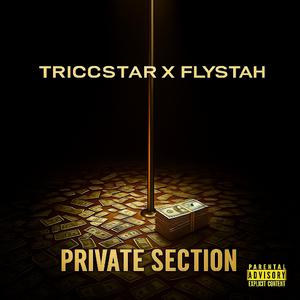 Private Section (feat. Triccstarr)