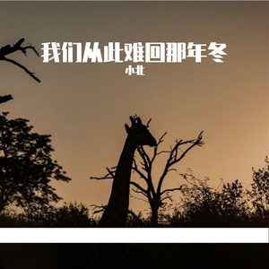 我们从此难回那年冬
