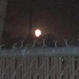 Valentine: Knife Into Heart Part 2 (feat. LeftEyePain)