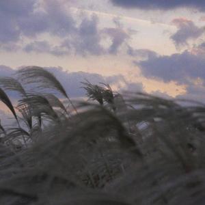 Farewell（prod By.PUNISHME)