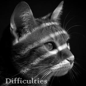 Difficulties