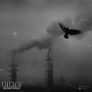 O viață de hârtie