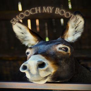 Smooch My Booty (feat. Alabama Harper Jonez)