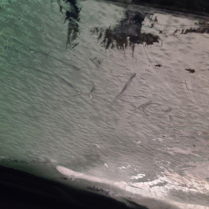 Stolen Dreams (feat. KillingFloorSkip, DazeDaGod & Townhouse)