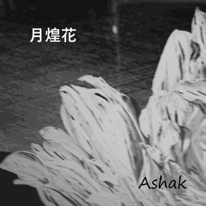月煌花
