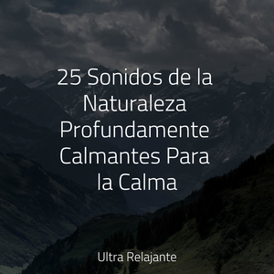 Relájate Por Dentro