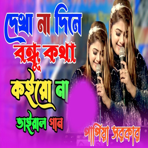 দেখা না দিলে বন্ধু কথা কইয়ো না