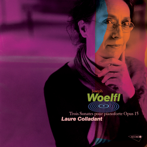 Sonate pour pianoforte No.2 Op. 15 en si bemol majeur:Finale allegretto theme et variations
