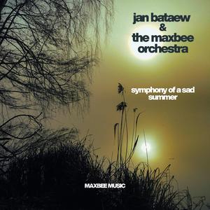 symphoney of a sad summer (feat. Maxbee Orchestra)