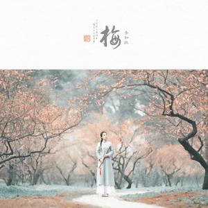 梅香如故（翻自 毛不易）