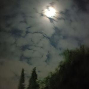 挣扎（Prod by Red Killer）