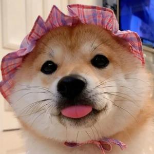 日が落ちるまで