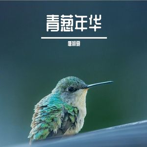 青葱年华