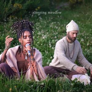 Sleeping Meadow (963hz Crown Chakra)