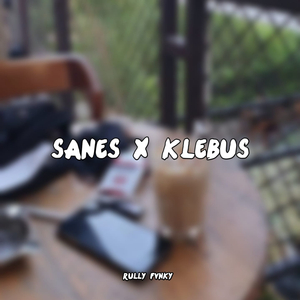 Sanes x klebus