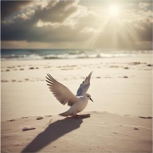 하얀 모래 위에 비둘기 한 마리가 내려앉아 내 마음을 사로잡았습니다. by @soler1211