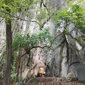 เพียงเธอ