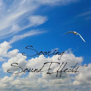 Alien Scream Scary Alien Scream Creature Sound Effects Sound Effect Sounds EFX Sfx FX Science Fiction Sci-Fi Alien