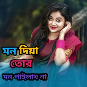 মন দিয়া তোর মন পাইলাম না