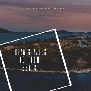 Ibiza Sizzles To Tech Beats