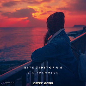 Niye Gidiyorum Biliyormusun
