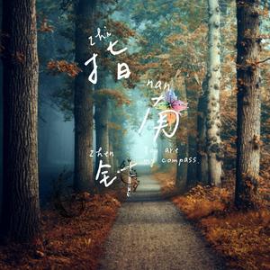 指南针（cover：周峻纬，齐思钧，蒲熠星，文韬，唐九洲，邵明明，石凯）（翻自 蒲熠星）