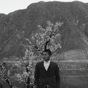 爱意泛滥的年代不做爱情的狗、