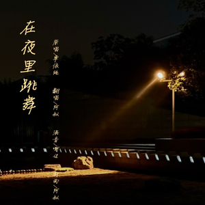 在夜里跳舞