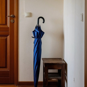 Leftover umbrella