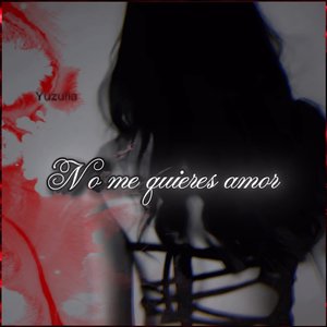 No Me Quieres Amor