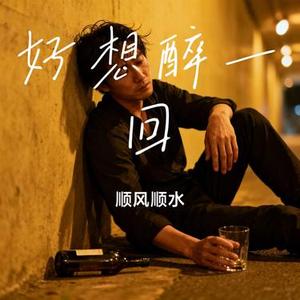 好想醉一回 (Cover 马健涛)
