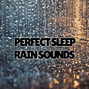 Rain At Batu Ferringhi: Peaceful Meditation