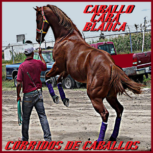 El Caballo Centenario