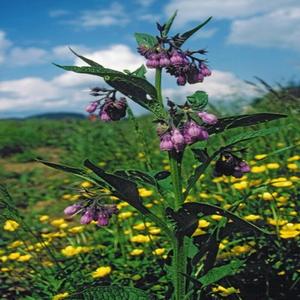 Ognuno ha la sua vita