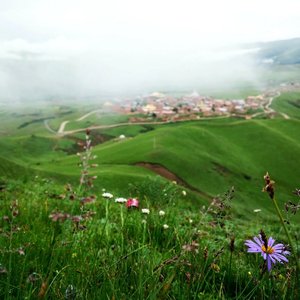 给自己的歌（Cover 纵贯线）