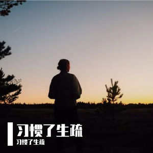 绿洲的梦幻冒险叙事