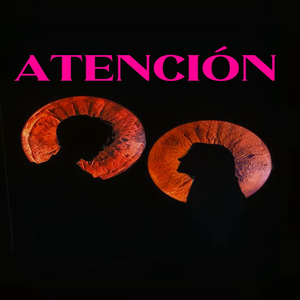 Atención