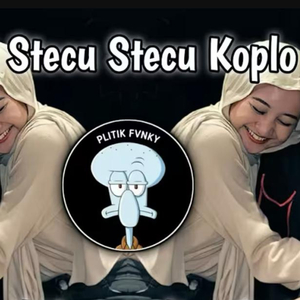 Stecu Stecu Koplo