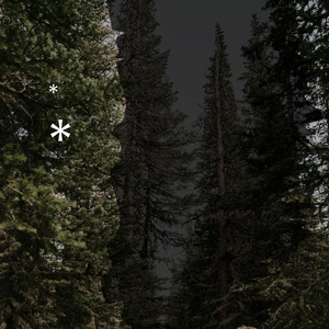 你走后我落寞得像条狗走着凌晨两点半的中山四路