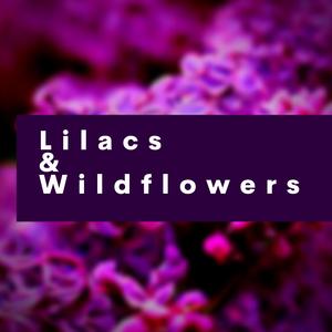 Lilacs and Wildflowers