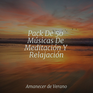 Ecos de la Melancólica Canción del Anochecer