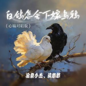 白鸽怎会下嫁乌鸦 (心痛对唱版)