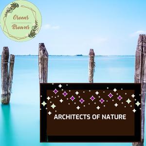 The Mountain and Fire Noise